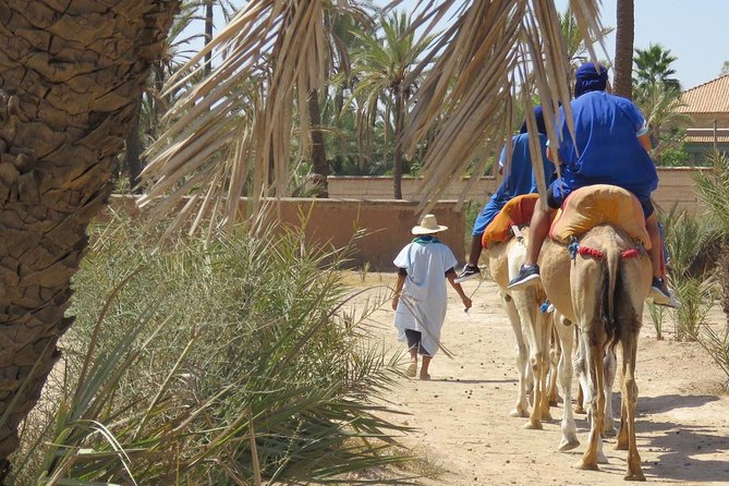 Camel Ride & Quad Biking Half Day in Marrakech - Camel Ride Experience