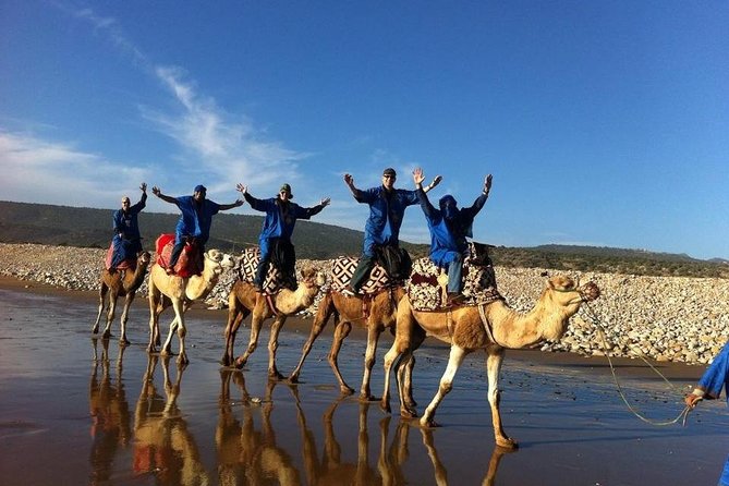 Camel Riding Agadir - Tour Options and Customization