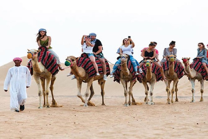 Camel Trekking and Morning Safari With Sand Boarding - Dune Bashing Thrills