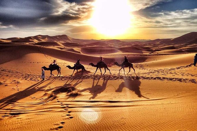 Camel Trekking Dubai With Dune Bashing and Sand Boarding - Highlights of the Dubai Desert Safari