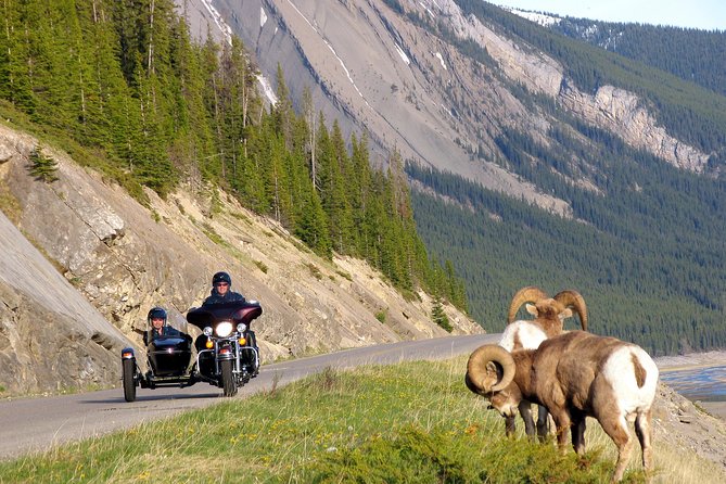 Canadian Rockies Tour by Chauffeured Sidecar From Jasper - Customizable Itinerary Options