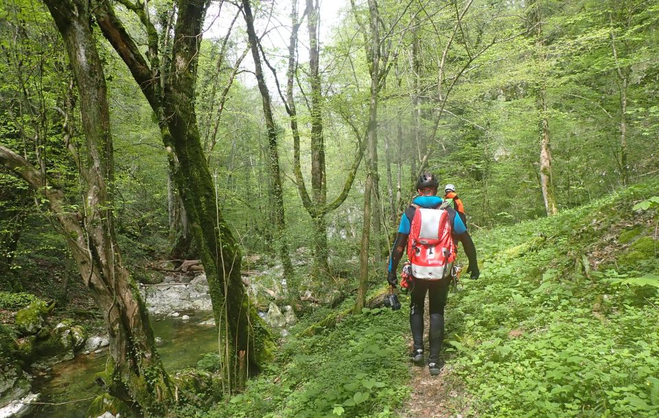 Canyoning Tour - the Upper Part of the Furon River: Vercors - Grenoble - Inclusions