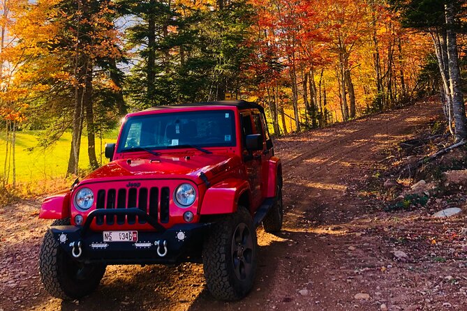 Cape Breton Off-Road Jeep Adventure - Experience Off-Road Thrills