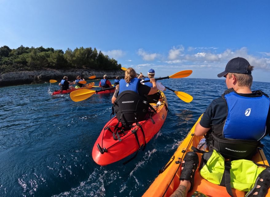 Cape Kamenjak: Guided Kayak Tours Snorkeling, Cave & Cliff - Activities and Highlights