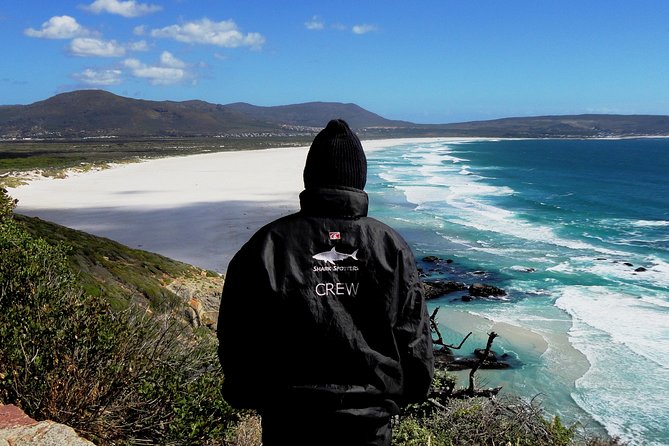 Cape of Good Hope, Cape Point & Penguins, Private Customizable Morning Tour - Highlights