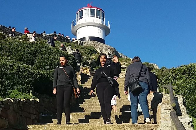 Cape Point Chapmans Peak Drive Penguins Full Day Tour + Wine Tasting - Meeting and End Point