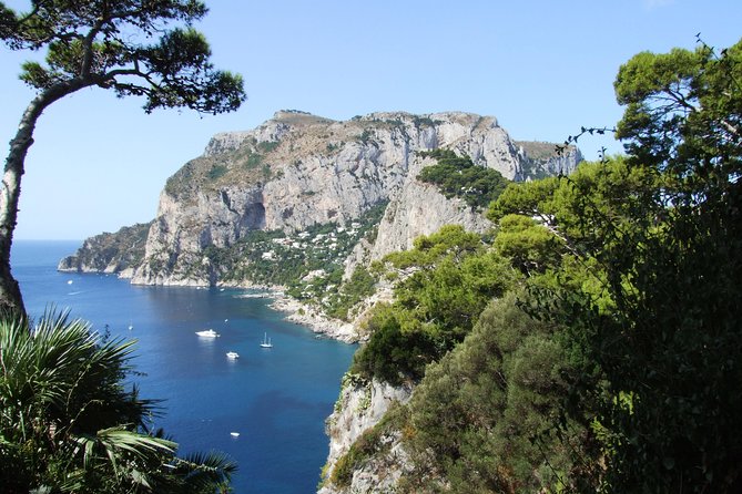 Capri and Anacapri Day Tour From Sorrento - Exploring Anacapri Village