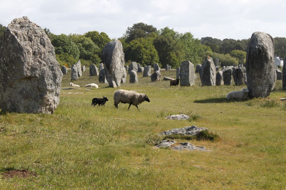 Carnac: Carnac Stones 40-Minute Audio-Guided Bus Tour - Tour Highlights: Megalithic Monuments