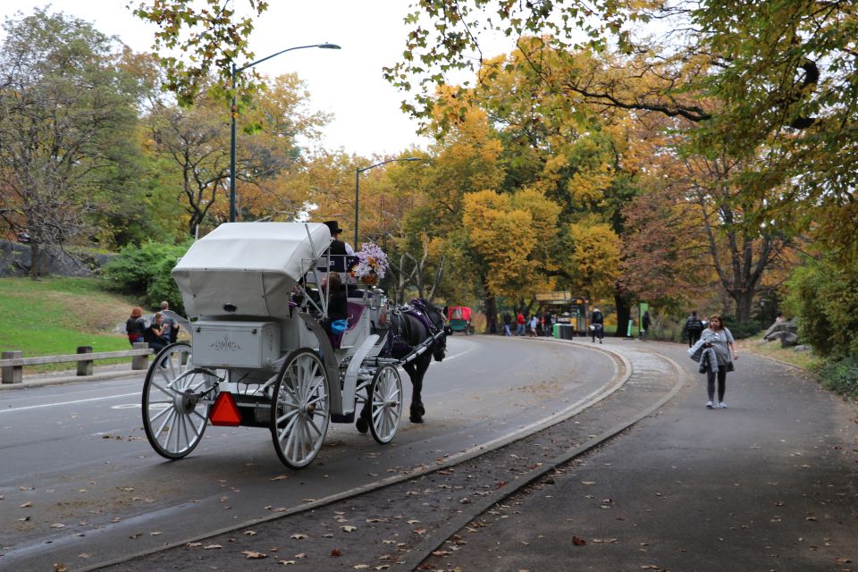 Carriage Ride To/From Tavern on the Green (Up to 4 Adults) - Reservation and Payment