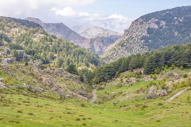 Cedars of Lebanon, Qozhaya, & Bcharre - With Lunch (4G on Board) - Key Destinations