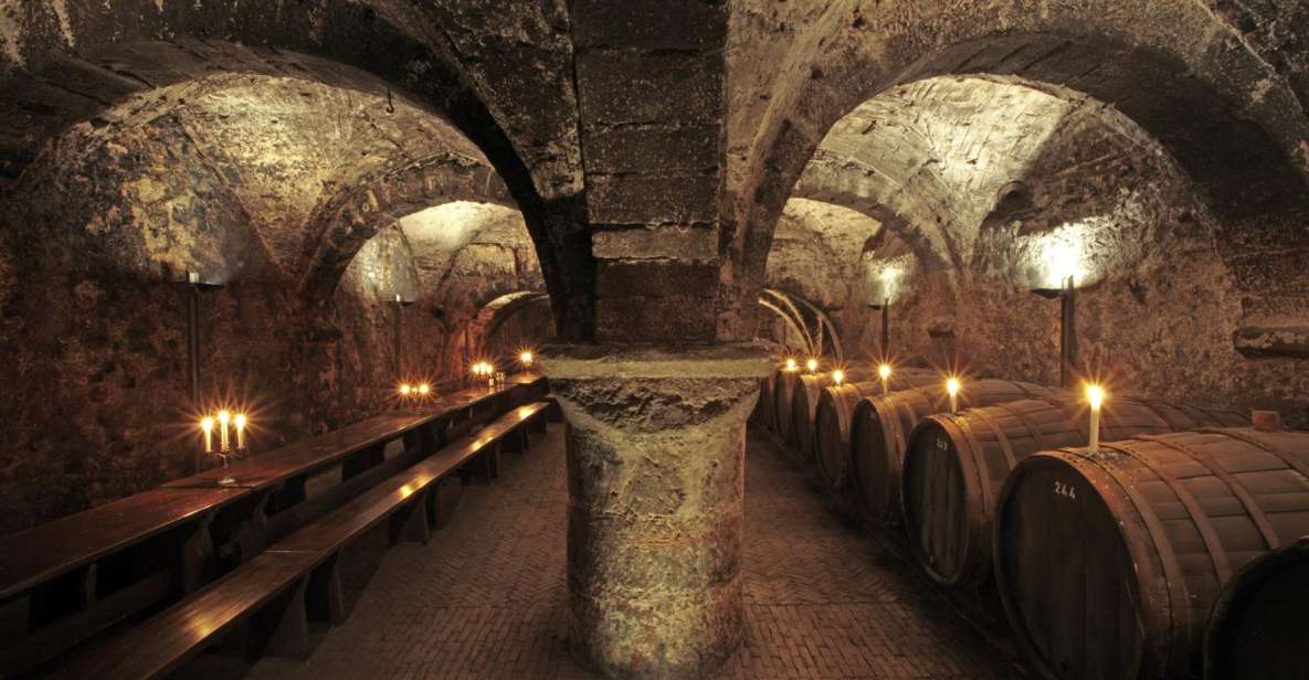 Cellar Discovery Tour Oldest Wine Cellar in Germany - Location and History