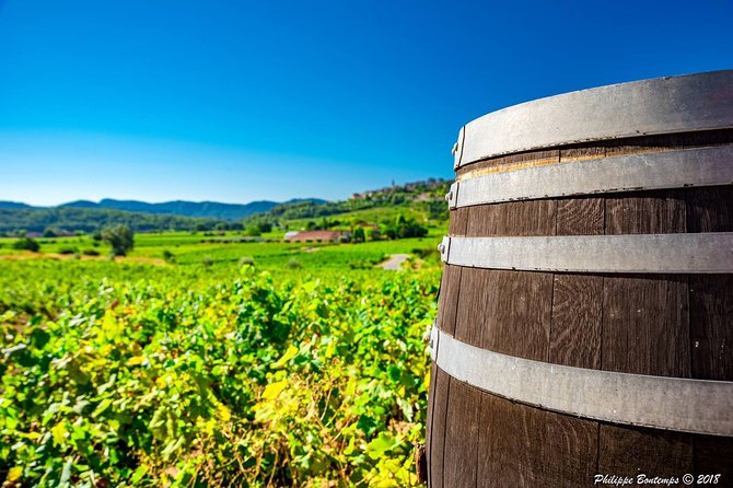 Cellar Visit & Bandol Wine Tasting - Unique Characteristics of Bandol Wines