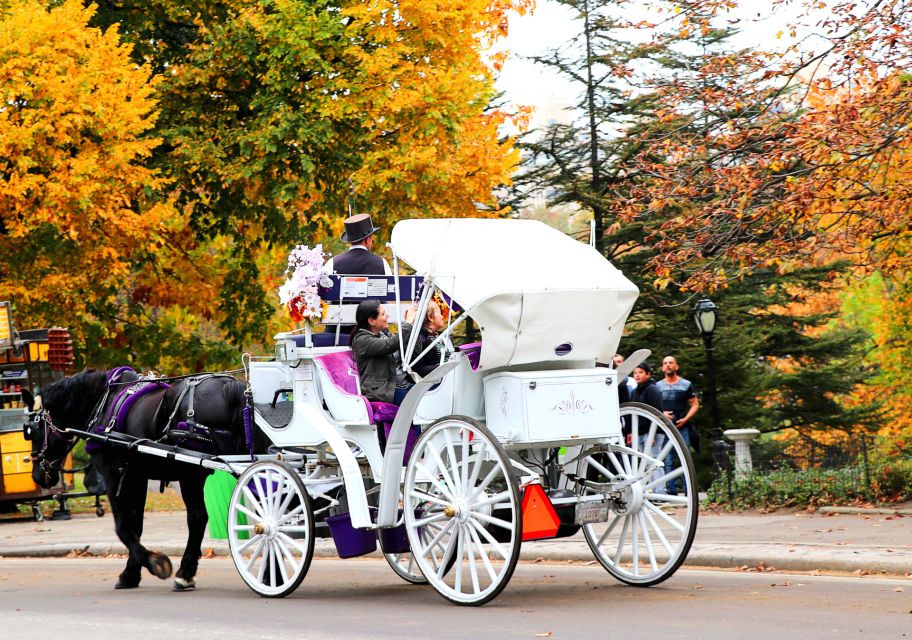 Central Park: Short Horse Carriage Ride (Up to 4 Adults) - Experience Highlights