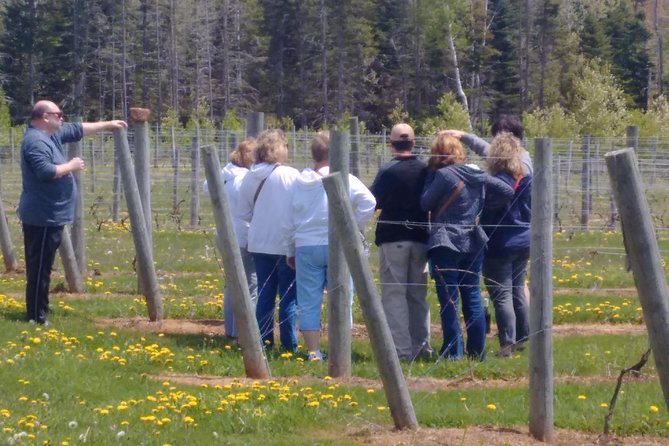 Central PEI Winery, Brewery, and Distillery Tasting Tour DE' Force - Inclusions