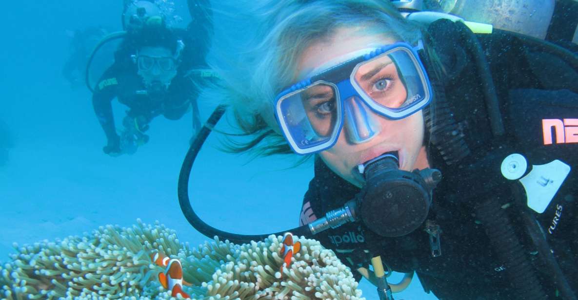 Cesme: Scuba Diving Experience - Whats Included