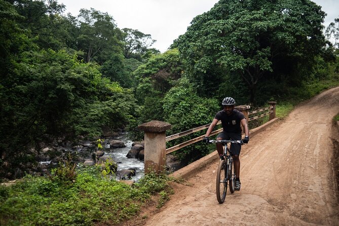 Chagga Villages in Mount Kilimanjaro Cycling Day Trip - Biking Through Banana Plantations