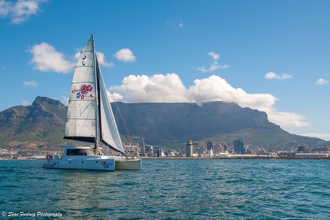 Champagne Cruise (Pre-Sunset) From Cape Town - Included in the Experience