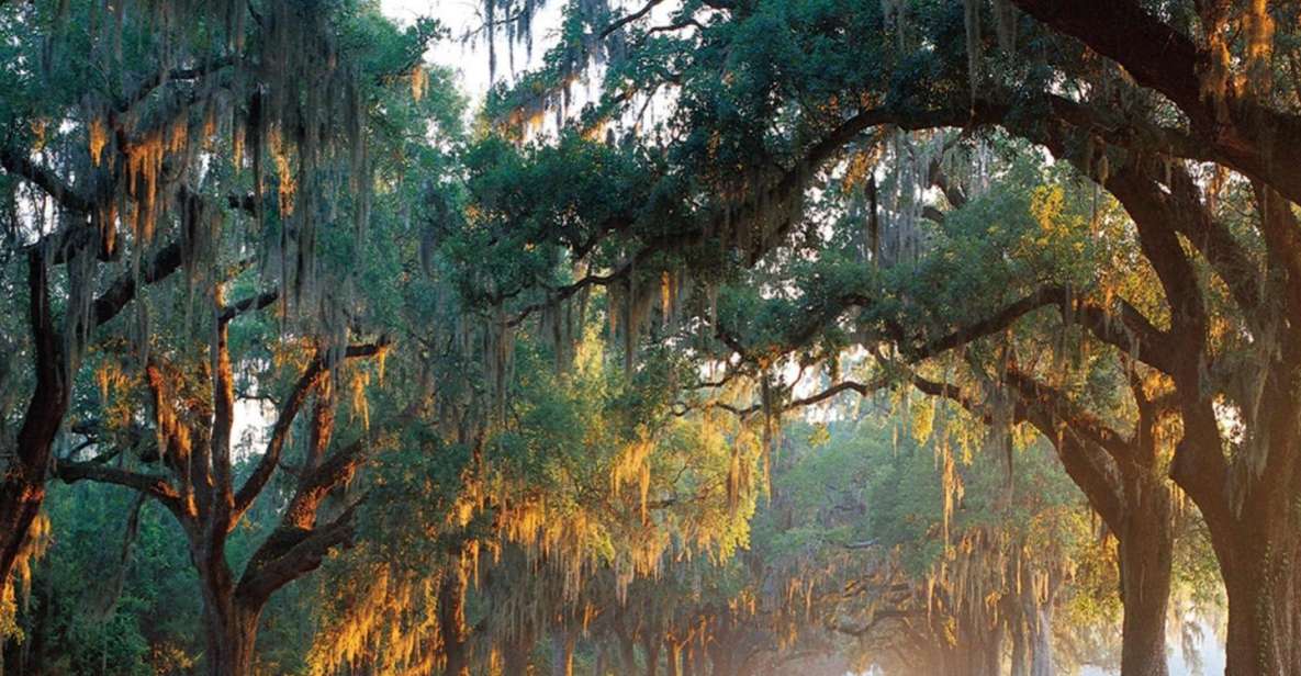 Charleston: Boone Hall & Historic City Tour Combo - Experience Highlights