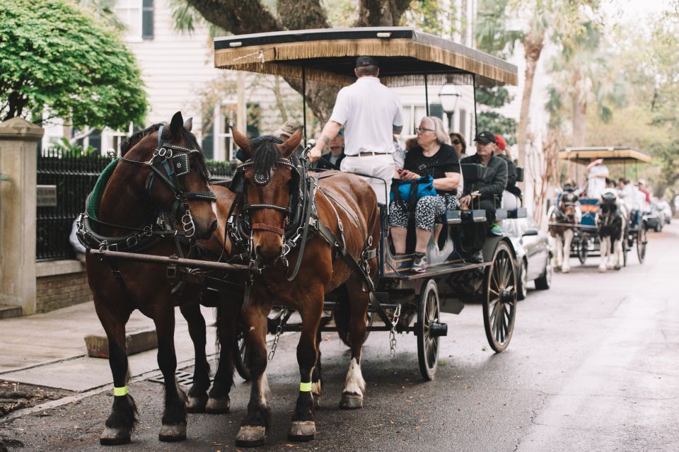 Charleston: Downtown Evening Haunted History Carriage Tour - Tour Experience and Highlights