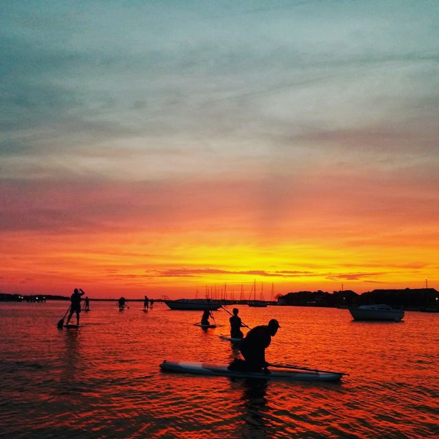 Charleston: Folly Beach Stand Up Paddleboard Dolphin Safari - Instructors and Experience