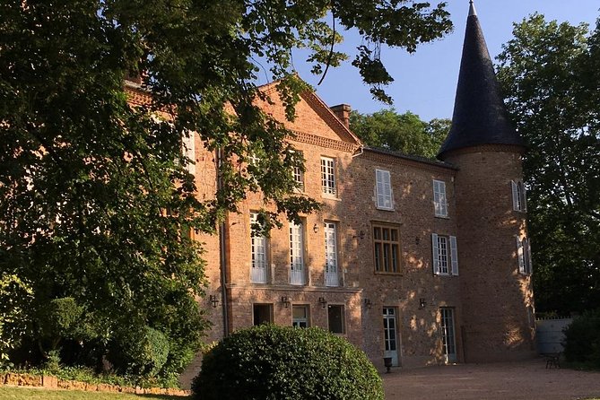 Cheese and Wine Accord Tour at Château De Champ-Renard - Terroir and Wine-Growing Process