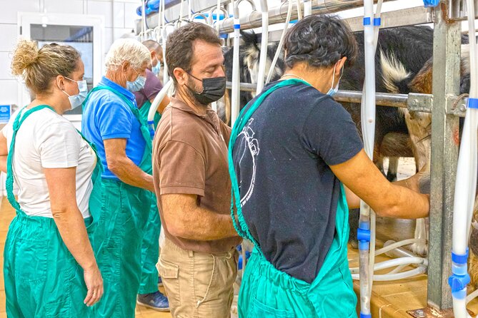 Cheese Making Workshop in Fuerteventura With Breakfast - Location and Pricing