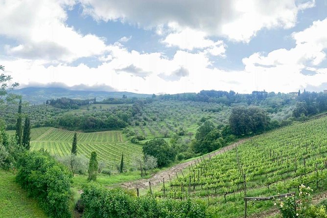 Chianti Vineyards Tours in Private Luxury Van From Florence - Inclusions