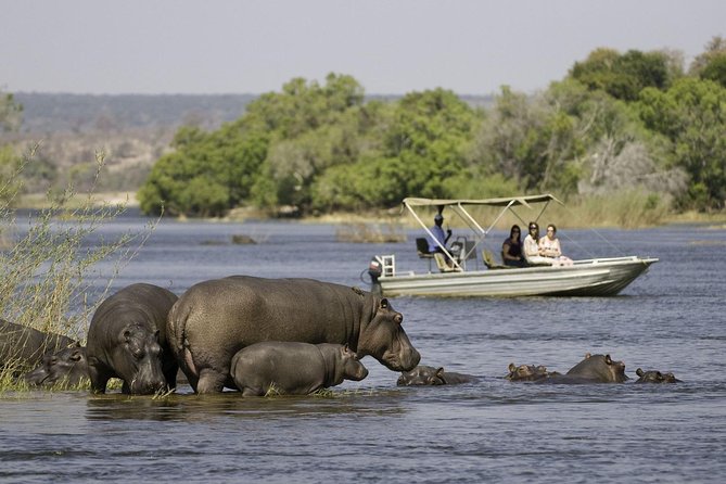 Chobe Extended Day Trip From Victoria Falls - Zimbabwe - Itinerary Details