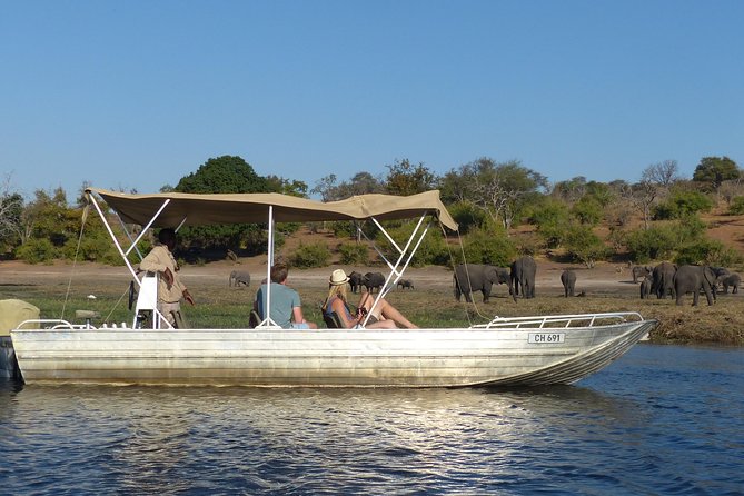 Chobe Full Day Trip From Victoria Falls - Inclusions and Highlights