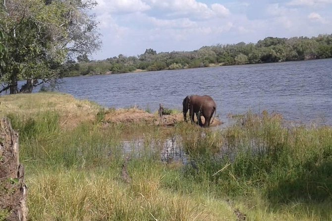 Chobe Safari Day Trip From Livingstone - Inclusions and Exclusions