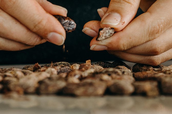 Chocolate Master Class - Cacao Beans to Balls