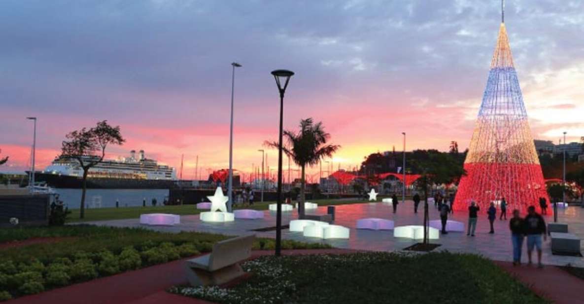 Christmas Lights in Funchal Tuk Tuk Tour - Tour Experience and Highlights