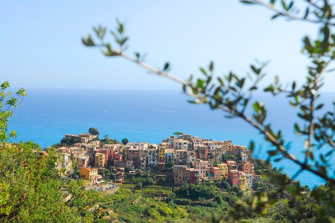 Cinque Terre Pesto Making Class, Boat Tour and Lunch - Private Boat Cruise Along Coast