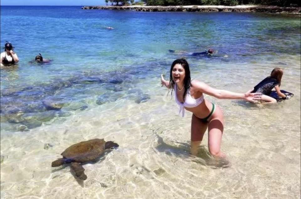 Circle Island: Swim With Turtles and Explore Paradise Oahu - Itinerary Highlights