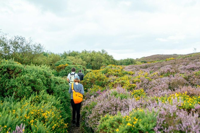 City Explorer: Howth Private Day Trip - Meeting and Pickup