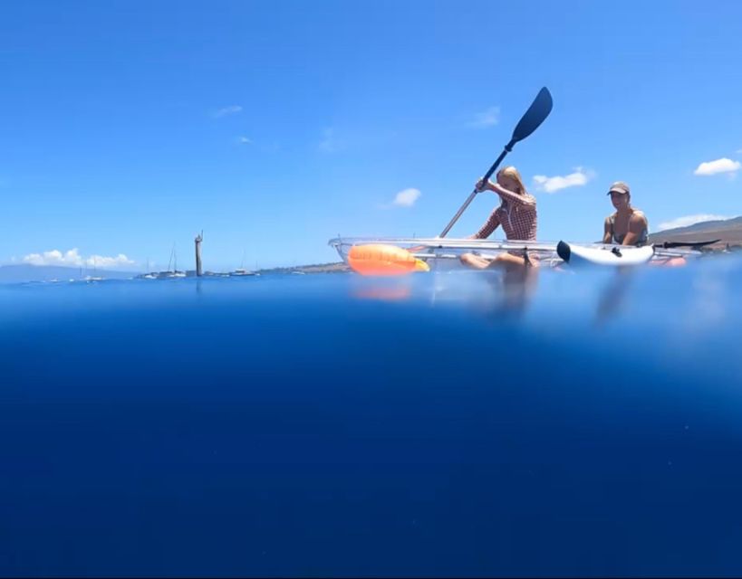 Clear Bottom Glassy Kayak Rental | Safe and Stable Kayaks - Exploring Mauis Marine Life