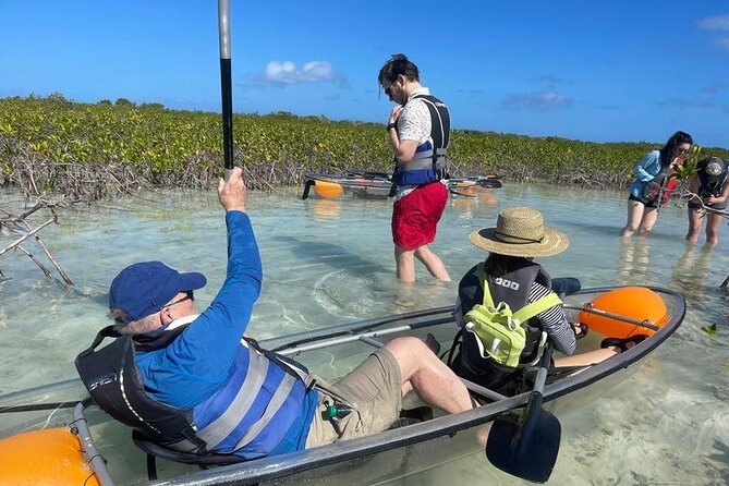 Clear Bottom Kayak Mangrove Eco Tour - Inclusions and Confirmation