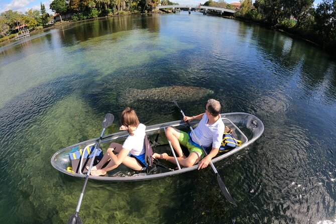 Clear Kayak Manatee Ecotour of Crystal River - Tour Inclusions and Equipment