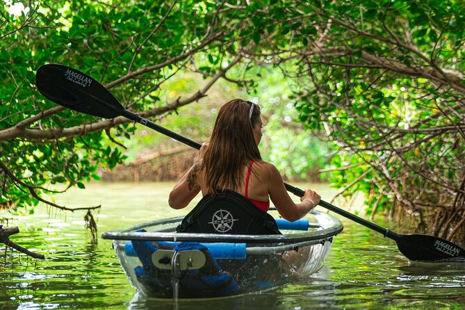 Clear Kayak Tour of Shell Key Preserve and Tampa Bay Area - Tour Details and Equipment