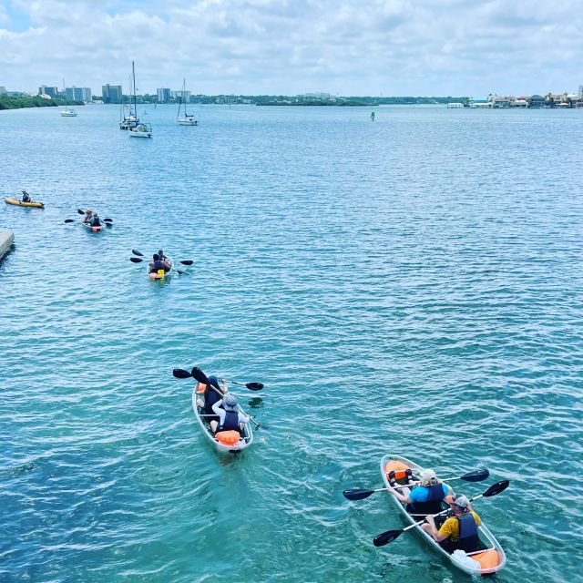 Clearwater: Guided Clear Kayaking Tour - Experience Highlights