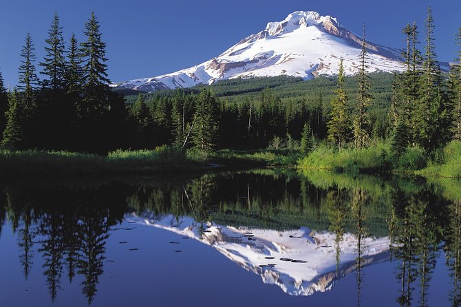 Columbia River Gorge Waterfalls & Mt Hood Tour From Portland, or - Experience and Activities