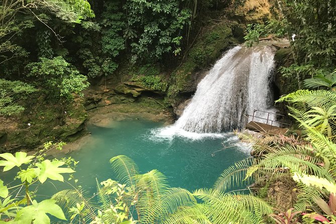 Combo Tour Dunns River Falls and Bluetour From Falmouth - Inclusions and Exclusions