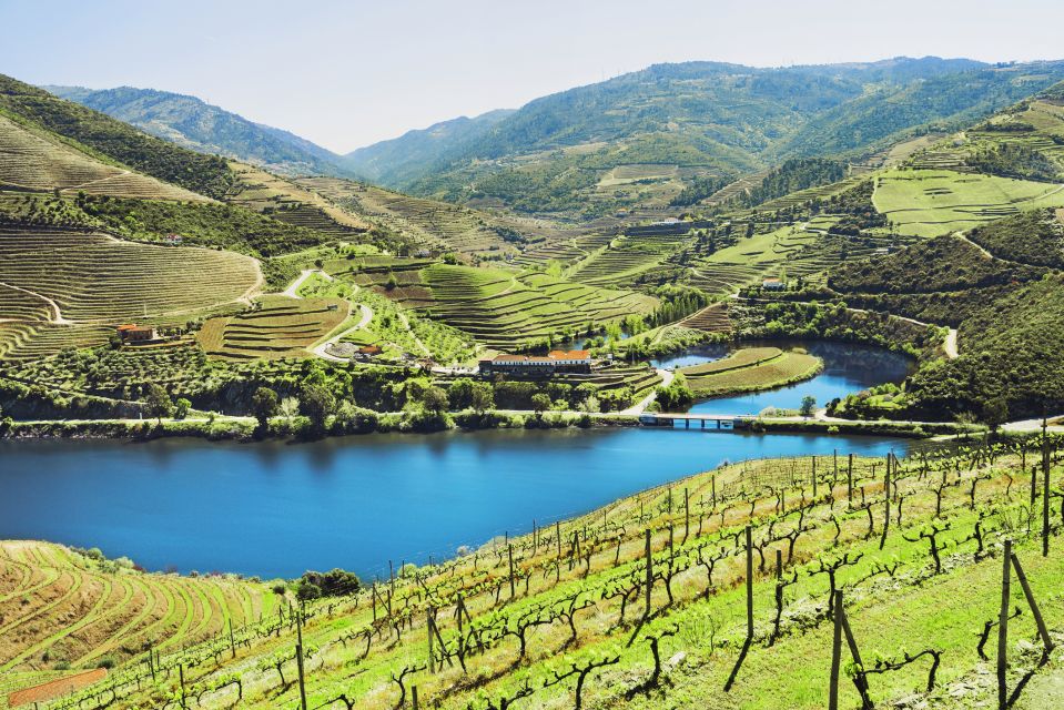 Complete Douro Valley Tour - Visit to 3 Wineries & Lunch - Inclusions