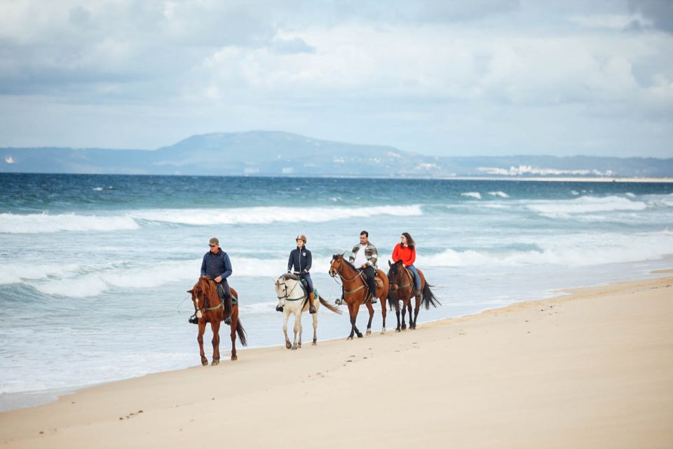 Comporta: Guided Horseback Riding Experience - Inclusions and Restrictions