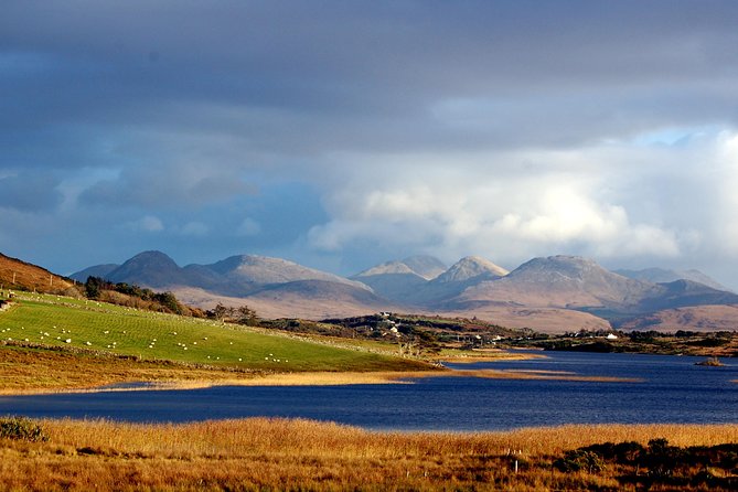 Connemara & Connemara National Park Day Tour From Galway. Guided. - Reviews