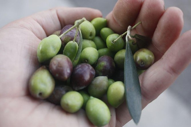 Cook With Locals | Cretan Cooking Class at Archanes (Transfer - Lunch Included) - Menu and Cooking Experience