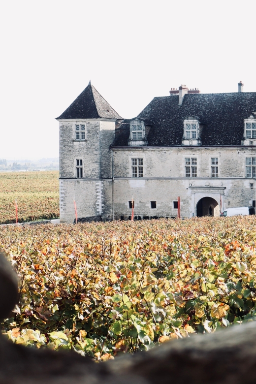 Côte De Beaune and Côte De Nuits: Private Full-Day Wine Tour - Winery Visits and Tastings