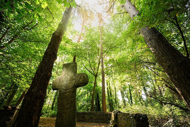 Courtown Woodland Guided Tour - Meeting Point and Accessibility