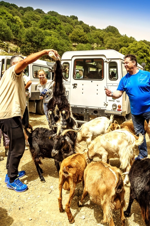 Crete: Land Rover Safari on Minoan Route - Itinerary Highlights