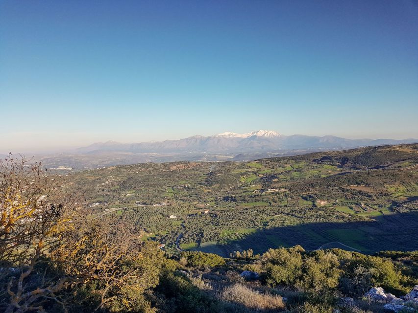 Crete: Land Rover Safari on the Holy Mountain With Lunch - Vineyards and Olive Groves